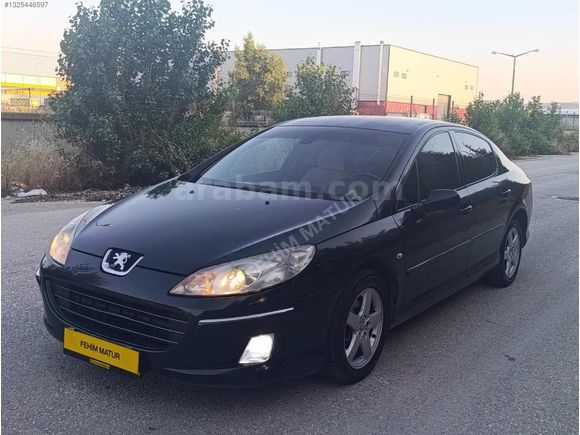 EMSALSİZ TEMİZLİKTE 407 Executive