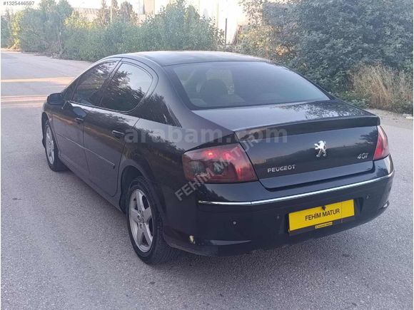 EMSALSİZ TEMİZLİKTE 407 Executive