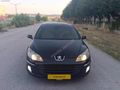 EMSALSİZ TEMİZLİKTE 407 Executive