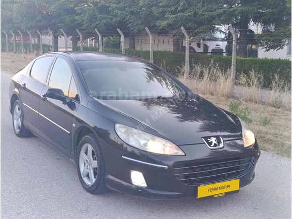 EMSALSİZ TEMİZLİKTE 407 Executive