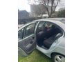 Sahibinden Renault Megane 1.6 RXT 2001 Model 