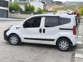 Toraman auto dan