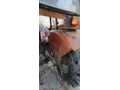 Araç takasi olur Sahibinden Fiat 480