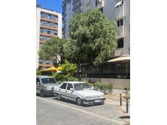 Sahibinden Tofaş Şahin 1.4 1998 Model 