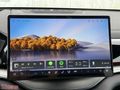 2025 BYD SEAL U DM-I PHEV - ORJİNAL BOYASIZ
