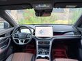 2024 BYD DEİSİNG HATASIZ-BOYASIZ 18.000KM-TABA DERİ