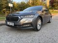 Sahibinden Skoda Octavia 1.0 e-Tec Premium 2023 Model 