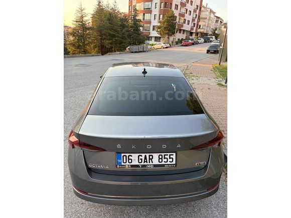 Sahibinden Skoda Octavia 1.0 e-Tec Premium 2023 Model 