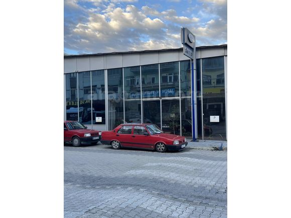 Airli  95 s doğan