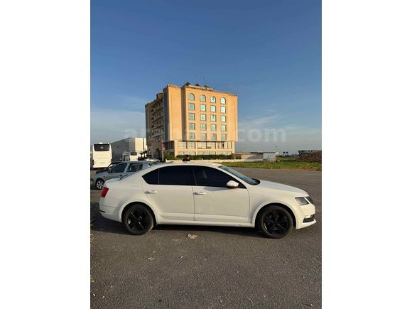 Sahibinden Skoda Octavia 1.6 TDI Optimal 2018 Model 