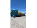 Sahibinden DAF XF 95.480 
