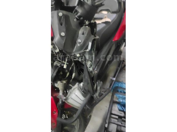 Sahibinden Kuba Chia 125