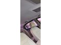 Sahibinden Opel Vectra 1.6 Comfort 2006 Model