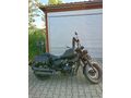 Sahibinden Falcon Freedom 250