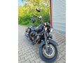 Sahibinden Falcon Freedom 250