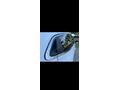 Sahibinden Renault Clio 1.0 SCe Joy 2023 Model