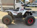SKYJET M135 OFFROAD ATV KARTA 6 TAKSİT İMKANI