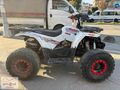 SKYJET M135 OFFROAD ATV KARTA 6 TAKSİT İMKANI