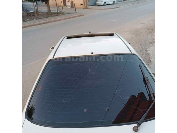 SANRUFLU 1.6 İES MOTOR 