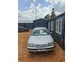 Sahibinden Volkswagen Bora 1.6 1999 Model Sinop