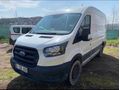 MAVİYEŞİL GROUP'DAN-2020-FORD TRANSİT-350M-PANELVAN
