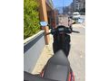 Sahibinden temiz TVS Ntorq 125
