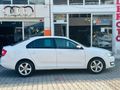 Sahibinden Skoda Rapid 1.4 TDI GreenTec Style 2015 Model 