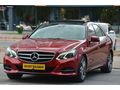 NECDETBALABAN OTOMOTİVDEN 2013 LANSMAN RENK E180