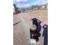 (BOL HEDİYELİ) 80 CC WİNG Mondial 50 Wing