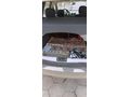 DACIA DUSTER .1.6 BENZIN AMBIANCE