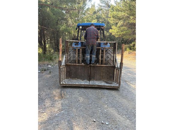 ACİL SATILIK TD 85