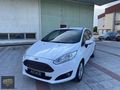 ACAR AUTODAN TİTANİUM PAKET FORD FİESTA