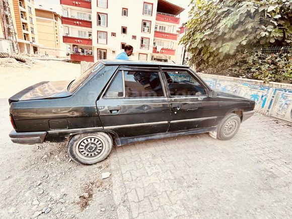 Temız bakımlı kara şimsek yayında