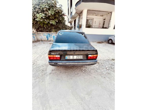 Temız bakımlı kara şimsek yayında