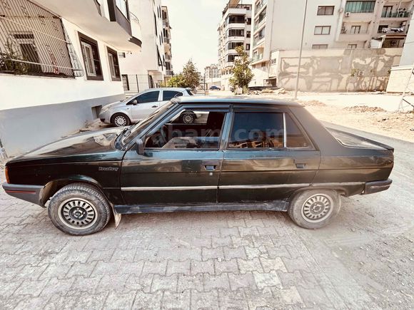 Temız bakımlı kara şimsek yayında