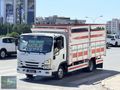HUZUR'DAN 2021_3.0MOTOR_SIFIR_AHŞAP_ORJ UZUN_KAMYONET HTSZ KMYNT