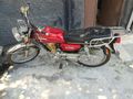 Sahibinden Abush CG 50 Plus