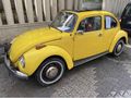 Sahibinden Volkswagen 1303 S 