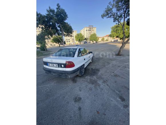 Temiz aile aracı
