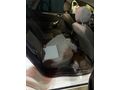 Sahibinden Ford Mondeo 1.6 TDCi Trend 2012 Model 