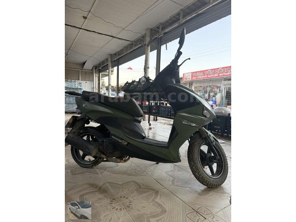 Yeşil haki güzellik