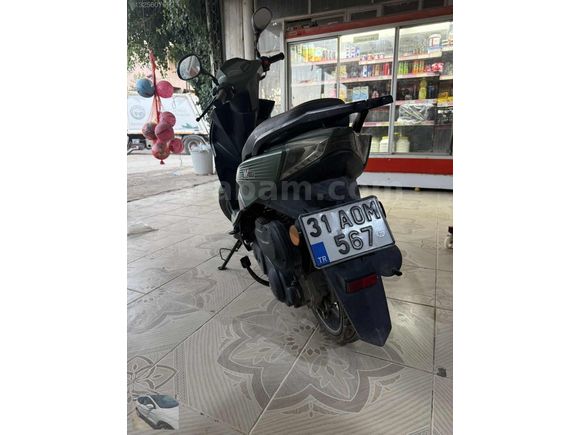 Yeşil haki güzellik