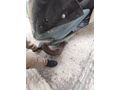 Sahibinden RKS Newlight 125 Pro 