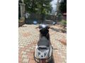 Sahibinden Honda Spacy 110 Alfa 