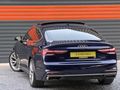DS MOTOR'S DAN A 5 QUATTRO ADVANCE