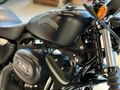 | UNIQ AUTO | 2013 HARLEY DAVIDSON IRON 883 VANCE & HINES EGZOZ