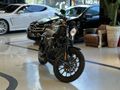 | UNIQ AUTO | 2013 HARLEY DAVIDSON IRON 883 VANCE & HINES EGZOZ