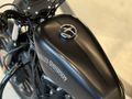 | UNIQ AUTO | 2013 HARLEY DAVIDSON IRON 883 VANCE & HINES EGZOZ
