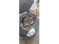 Sahibinden Renault Clio 1.4 RXT 2001 Model
