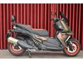 REFORM MOTORS 2025 BMW C400 X " ORJİNAL SİSSY BAR "